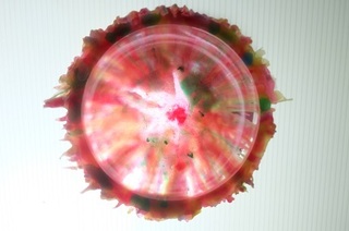 DSCF5085.JPG